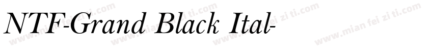 NTF-Grand Black Ital字体转换